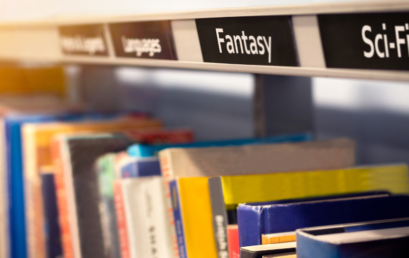 Bookshelves display Fantasy, Sci Fi, and other books.
