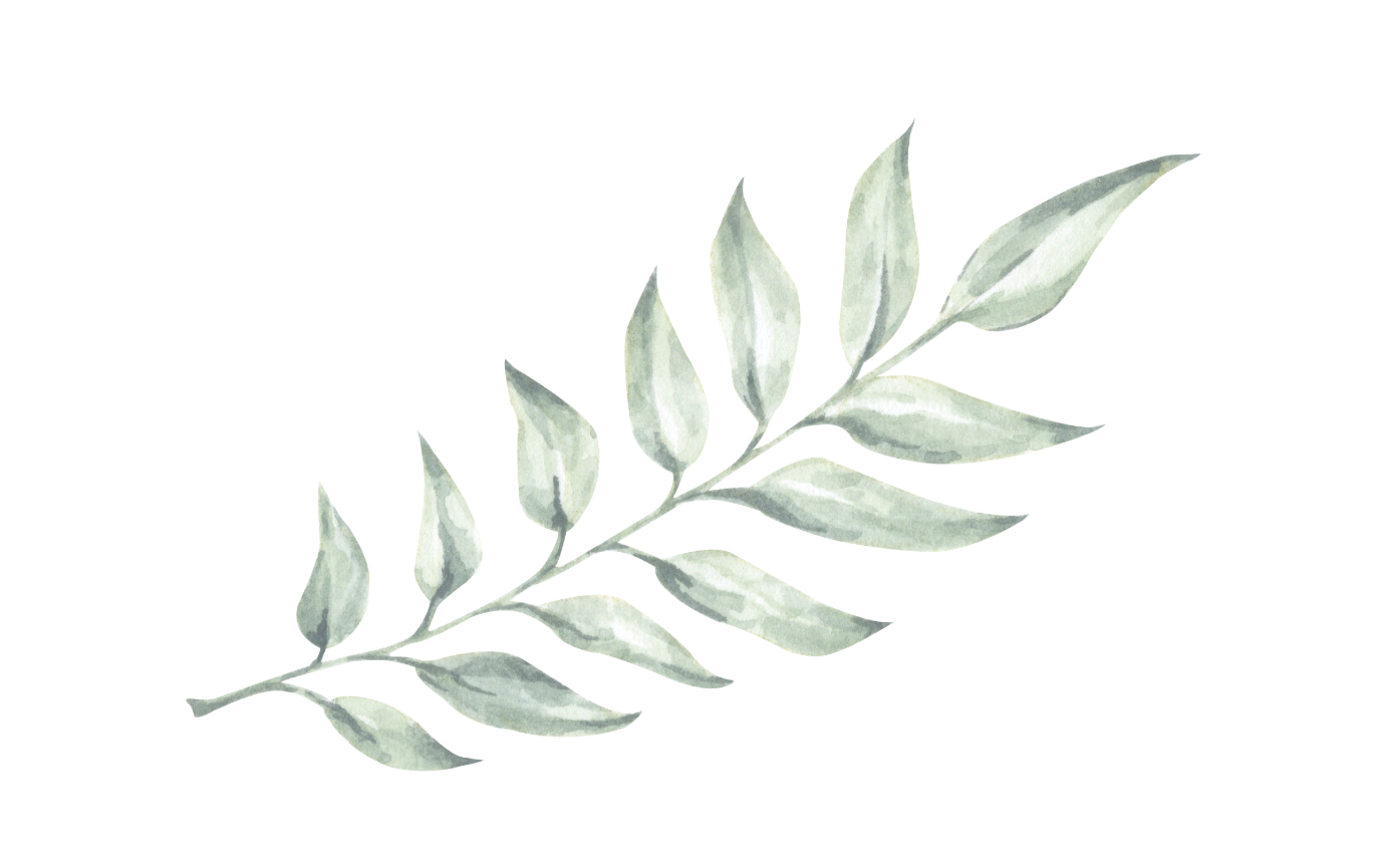 Spring of leaves