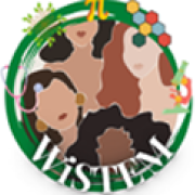 WISTEM