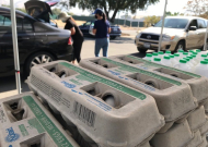 Egg-cartons