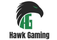 black hawk with green eye