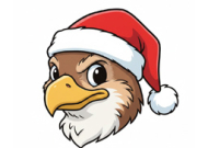 hawk in santa hat