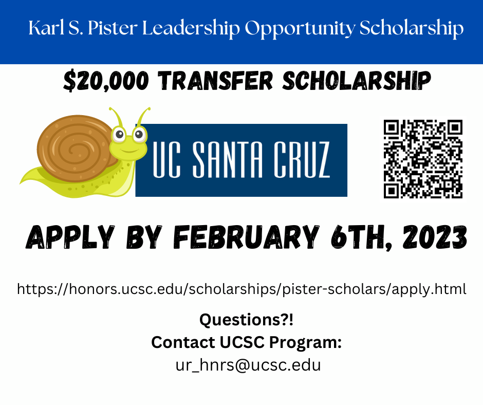 UCSC scholarship flyer 