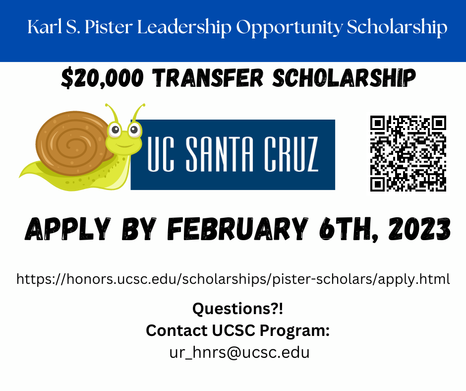 UCSC scholarship flyer