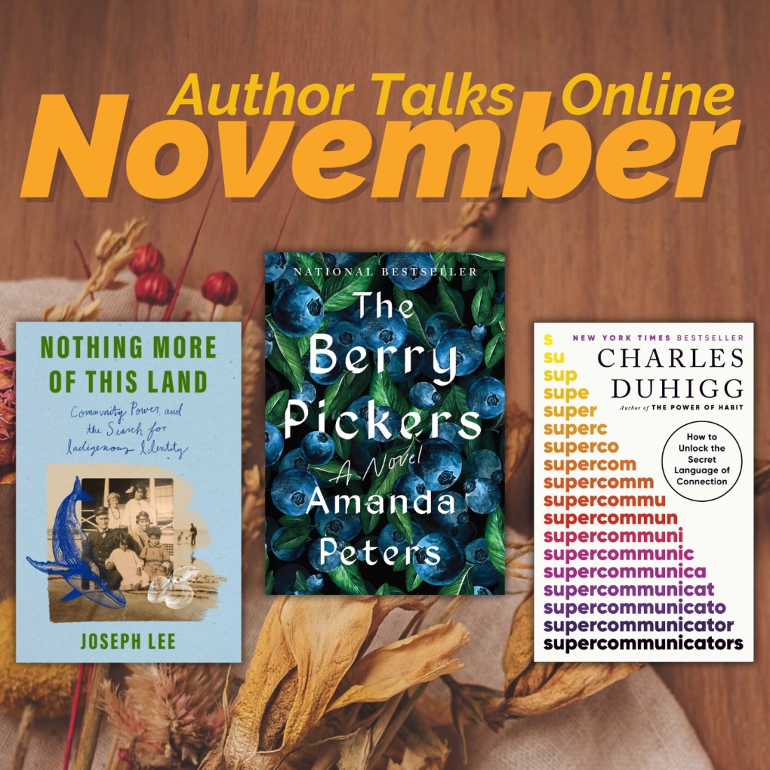 November 2025 Author Talks Online
