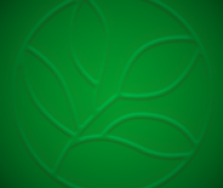 EVC Logo Image