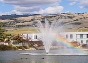EVC Pond