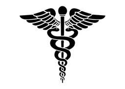 nursing logo with wings